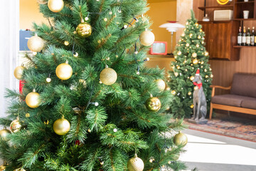 Christmas tree in living room,Festive image in holiday,Merry Christmas and Happy New Year.