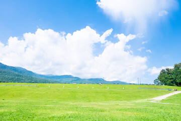 Fototapeta premium Winding path through a green grass field in hilly area against blue sky with clouds,Pathway s curve in public park.