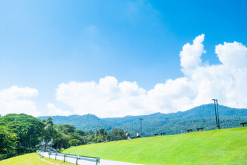 Fototapeta premium Landscape view of green grass on slope with clouds and blue sky,Beautiful green hills, pastures and trees,space for text,copy space.