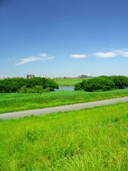 土手から見る初夏の朝の江戸川河川敷風景