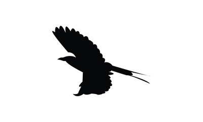 Flying Roller Bird Silhouette Design  And Vector Illustration. 

