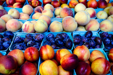 Organic Nectarine Plum Peach