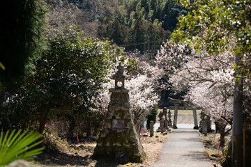 宇佐市（安心院町）　矢崎天満神社