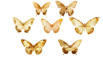 Golden butterfly on white background