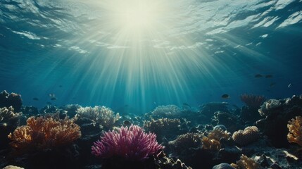 Fototapeta premium Sunbeams illuminate vibrant coral reef underwater. (1)