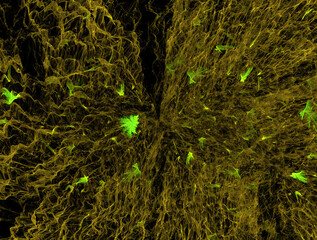 Imaginatory fractal abstract background Image