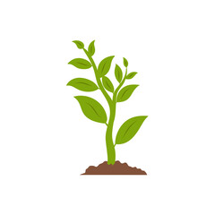 Seeds sprout in ground. Sprout, plant, tree growing agriculture icon.