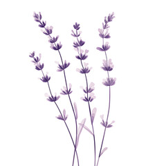 Naklejka premium floral and leafy illustrator elements for card, wallpaper.