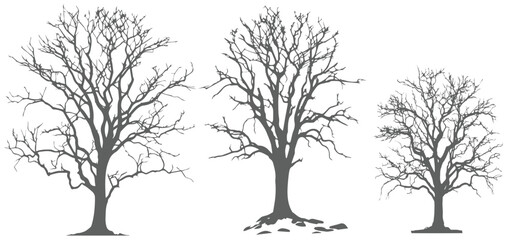 silhouette of a tree Tree without leaves silhouettes bundle Set of scary tree dead tree silhouettes vector