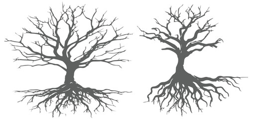 Obraz premium silhouette of a tree Tree without leaves silhouettes bundle Set of scary tree dead tree silhouettes vector
