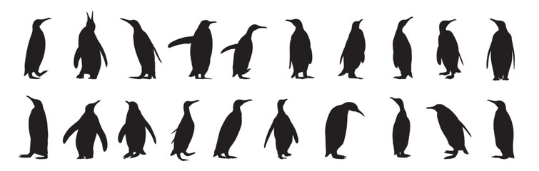 Penguin bird silhouette design
