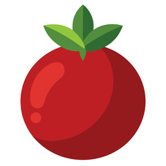 pomegranate vector illustration on a white background