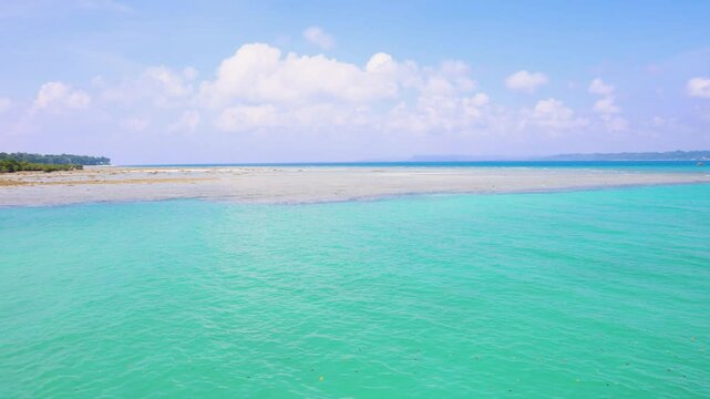 Blue Sea Coastline with Mangrove Forest Under Bright Sky