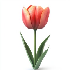 Fototapeta premium A vibrant, stylized tulip with soft pink petals and green leaves, symbolizing beauty and springtime.