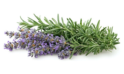 floral and leafy illustrator elements for card, wallpaper.