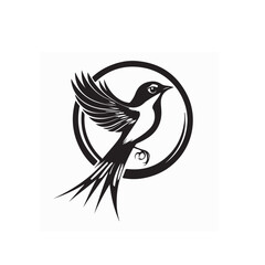 Common Kingfisher Bird image vector. Illustration of Common Kingfisher Bird image isolated on white background.