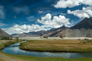 A Tranquil River Winding Through Verdant Meadows and Majestic Mountains