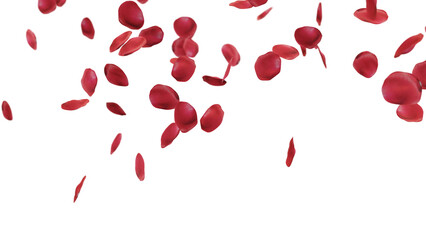 3d render of rose petals falling for wedding celebrations, overlay transparent background in png format.