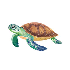 Adorable Cartoon Sea Turtle, Green Shell, Ocean Animal