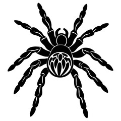 Obraz premium Detailed Toe Tarantula on White Background for Art and Creative Projects