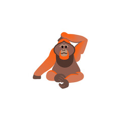 Thoughtful Orangutan
