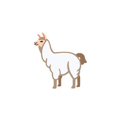 Llama
