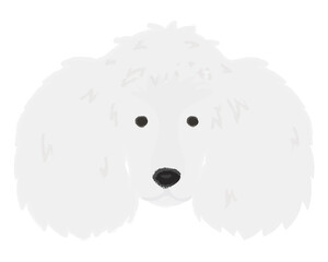 Png white poodle dog hand drawn sticker, transparent background