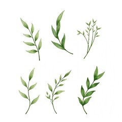Watercolor botanical illustration featuring hand-painted green leaves and branches. The artwork showcases various leaf shapes and textures with vibrant shades of green on a clean white background.