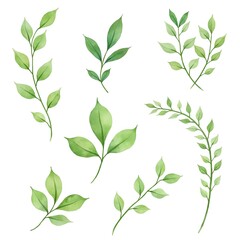 Watercolor botanical illustration featuring hand-painted green leaves and branches. The artwork showcases various leaf shapes and textures with vibrant shades of green on a clean white background.