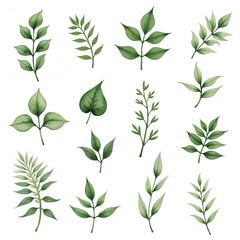 Watercolor botanical illustration featuring hand-painted green leaves and branches. The artwork showcases various leaf shapes and textures with vibrant shades of green on a clean white background.