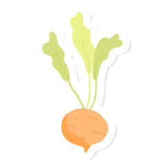 Fresh orange beet sticker transparent png