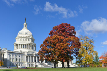 US Capitol Building in autumn foliage - Washington DC United States