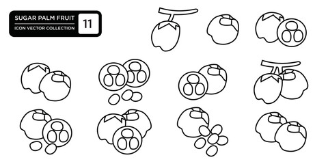 Sugar palm fruit icon collection, editable and resizable vector icon templates