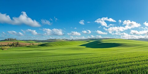 Vibrant green fields and a bright blue sky create stunning rural landscapes. Experience the beauty of green fields and blue sky in this picturesque rural setting.