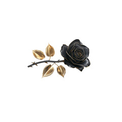 Black rose with golden leaves on white background.
