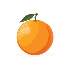 Fresh Orange Vector Illustration on White Background