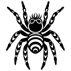 Zebra Jumping Spider with Unique Patterns Posed on a Bright White Canvas