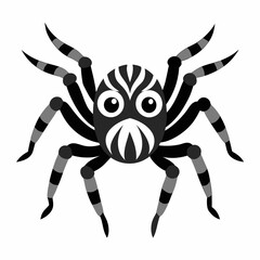 Zebra Jumping Spider with Unique Patterns Posed on a Bright White Canvas