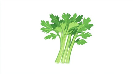 Fresh Green Celery Stalks with Lush Leaves Isolated on White Background