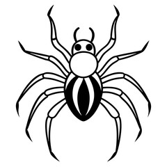 Colorful Peacock Spider on White Background: Stunning and Detailed Artwork
