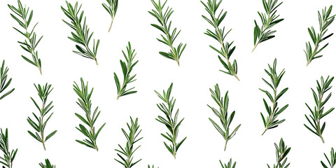 Obraz premium Pattern of fresh rosemary sprigs arranged on white background, showcasing vibrant green hues and aromatic charm, perfect for cooking, herbal remedies, or natural designs.