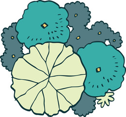 hand drawn top view of tree illustration.