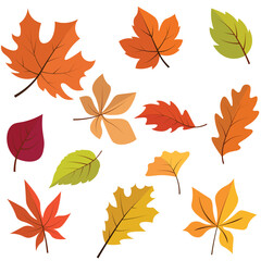 Fototapeta premium Autumn Leaves
