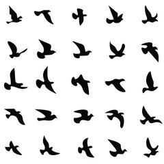 Flying bird Silhouette