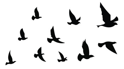 Flying bird Silhouette