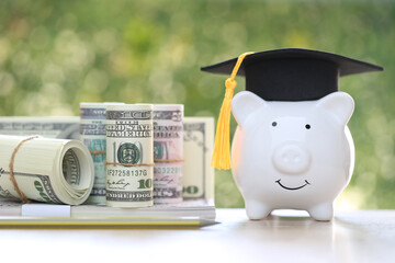 Graduation hat on piggy bank with stack of coins money and banknote on natural green background, Saving money for education concept