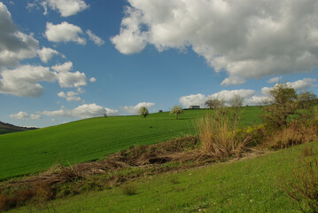 Obraz premium The Molise countryside in spring, the crops and the green of the fields