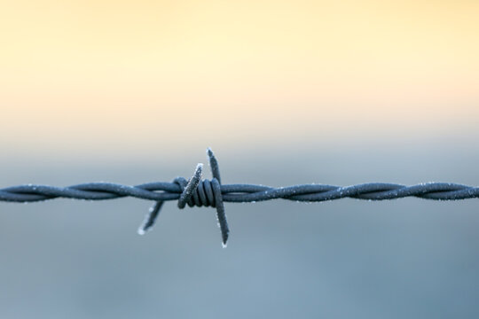 Close up image of barbed wire fence on frosty winter morning