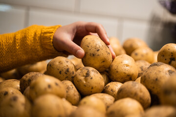 Woman choosing fresh potatoes in a supermarket. Close-up of female hand picking up ripe potato in...