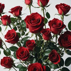 A classic bouquet of red roses, with tightly arranged petals and lush green stems, set against a white background.